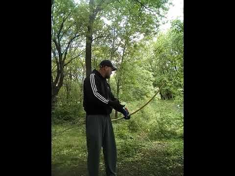 Видео: Тестирую лук из тутовника.