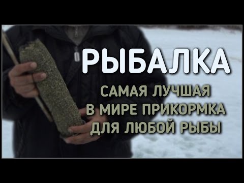 Видео: рыбалка / самая лучшая в мире прикормка для любой рыбы