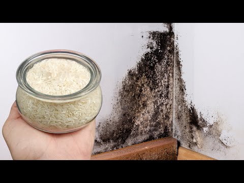 Видео: Влага и плесень исчезнут моментально! Самое сильное натуральное решение!