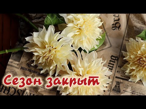 Видео: ВОТ И ВСЁ. СЕЗОН ПОДОШЕЛ К КОНЦУ 