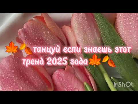 Видео: 🍁🍂Танцуй если знаешь этот тренд 2025 года🍁🍂  #kamistory #trending #reels #dance #эстетическая #вреки