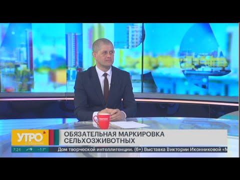 Видео: Маркировка: каких животных нужно внести в систему? Утро с Губернией. 27/02/2024. GuberniaTV