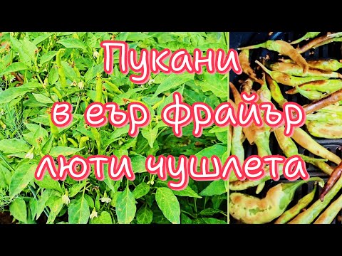 Видео: Опукани люти чушки в еър фрайър 🌶️ + лесна марината