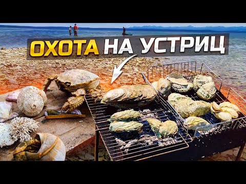 Видео: САМЫЕ БОЛЬШИЕ В МИРЕ УСТРИЦЫ. КАК ИХ СОБИРАЮТ и ЕДЯТ. САХАЛИН. ОЗЕРО БУССЕ