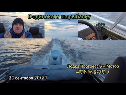 Видео: Лодка Прогресс 3м Мотор HONDA BF50 D в одинокого на рыбалку 25 сентября 2025 (на память).