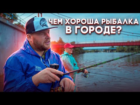 Видео: ЧЕМ ХОРОША РЫБАЛКА В ГОРОДЕ?