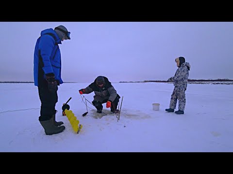 Видео: проверка перемёта  приехали всей мужской компанией