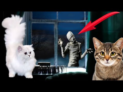 Видео: ЧЕЛОВЕК В БИНТАХ ЗА МОИМ ОКНОМ - ПРЯЧЬСЯ!