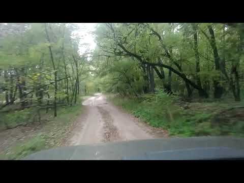 Видео: Нива 5д, легко и просто, везде и всюду.