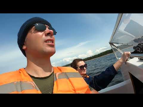 Видео: Касатка на ходу. Немного динамики, без фанатизма.