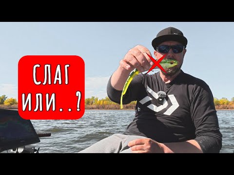 Видео: На что ловить крупного сома и СУДАКА?