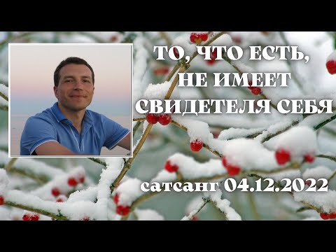 Видео: То, что есть, не имеет свидетеля себя. Сатсанг 04.12.2022