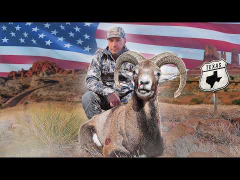 Видео: Трофейная охота в Техасе. Красный Баран. 🦂