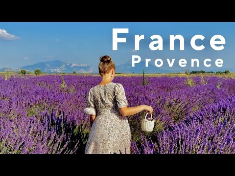 Видео: 🇫🇷Франция. Валансоль. Лавандовые поля в Провансе. #provence #france  #valensole #lavande #прованс