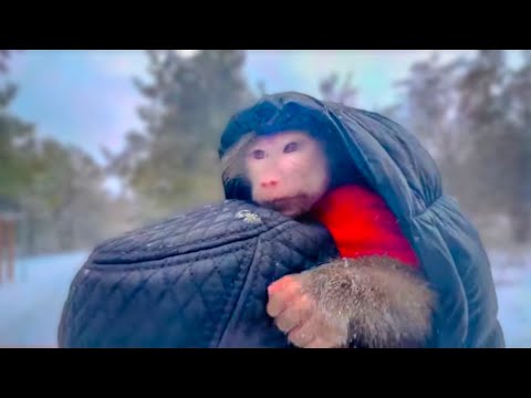 Видео: Влад с Люськой пошли ГУЛЯТЬ по СНЕГУ! Интересная реакция обезьянки Люси на снег!