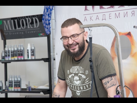 Видео: Роман Фомин. Секреты грумера - как принять собаку