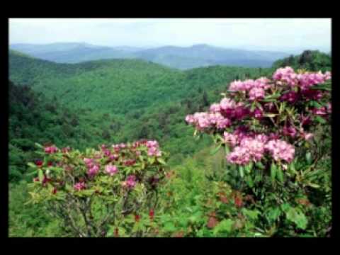 Видео: Обладая силою Ты судишь снисходительно