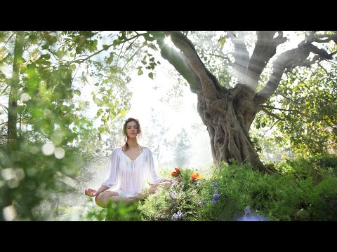 Видео: Медитация Тонг Лен для устранения болезней