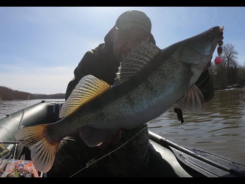Видео: Судак Ранней Весной Джиг  по р. Десна ! Где и на Что ловить ? По ХОЛОДНОЙ ВОДЕ !