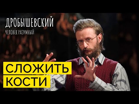 Видео: Как зубы и переломы могут рассказать о древних людях // Дробышевский. Человек разумный