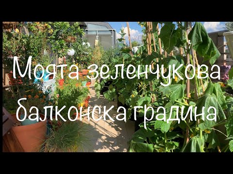Видео: Зеленчукова градина на балкона