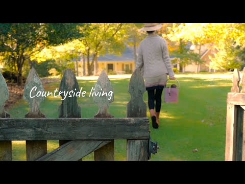 Видео: Ранняя осень routine｜Japanese vlog｜Countryside живой