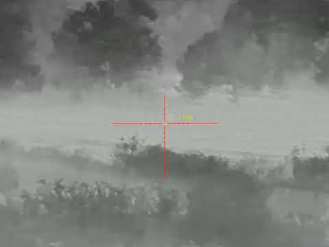 Видео: #Тепловизорный прицел#atak ет23-45lrf#ночная съемка#диких#животных.