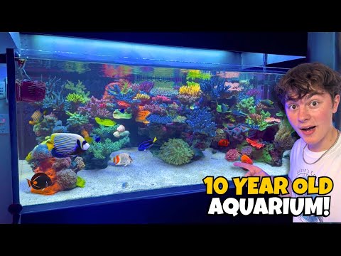 Видео: Секреты этого БЕЗУМНОГО 180-граммового морского аквариума!!!