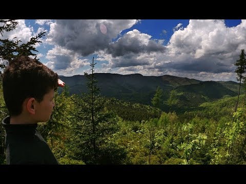 Видео: Карпаты гора Парашка