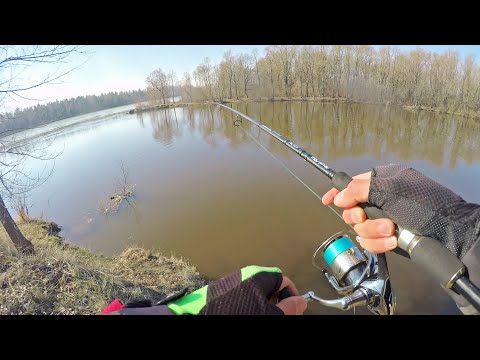 Видео: Закинул приманку под тот берег И ОШАЛЕЛ! ОТБОРНЫЕ СУДАКИ КЛЮЮТ ПОДРЯД Рыбалка 2021 😲