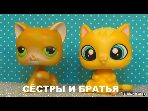 Видео: LPS: БРАТЬЯ И СЁСТРЫ
