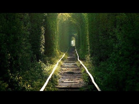 Видео: Прогноз на ноябрь,что будет в вашей жизни???