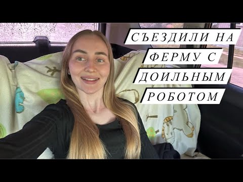 Видео: Жизнь в деревне! Продали всех поросят, миграция птиц.