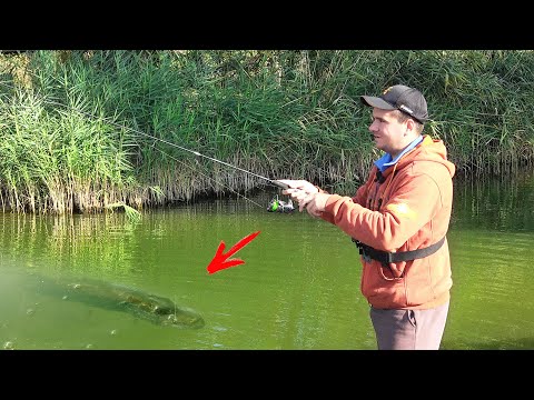 Видео: РЫБАЛКА на УЛЬТРАЛАЙТ ОСЕНЬЮ!!! Где искать и КАК ЛОВИТЬ рыбу? Ловля ОКУНЯ на микроджиг