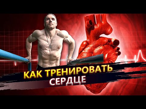 Видео: Как тренировать сердце
