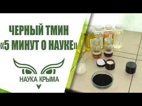 Видео: Чёрный тмин - почему он лечит всё, кроме смерти