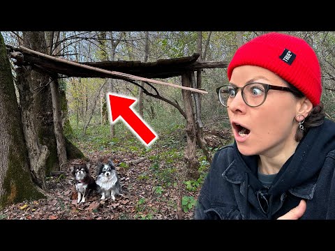 Видео: ВЕРНУЛИСЬ с собаками в ДОМ НА ДЕРЕВЕ и что случилось в этот раз?