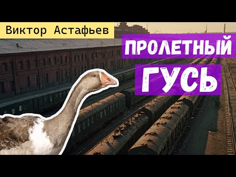 Видео: ПРОЛЕТНЫЙ ГУСЬ / Виктор Астафьев