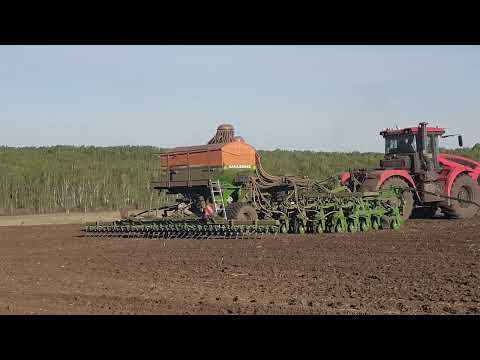 Видео: сеем рапс.Первая поломка.Переходим на пшеницу!