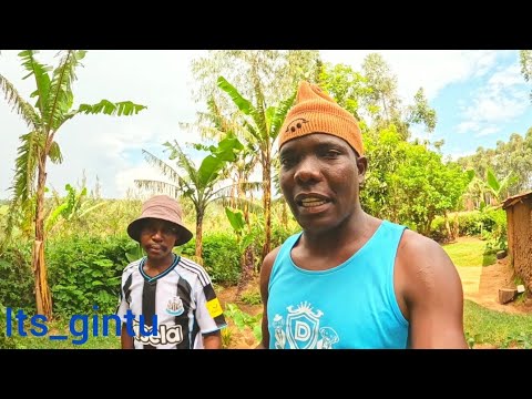 Видео: ЧТО СЛУЧИЛОСЬ С МАТИКО!!! СКВОТЕРЫ ЖИЗНИ