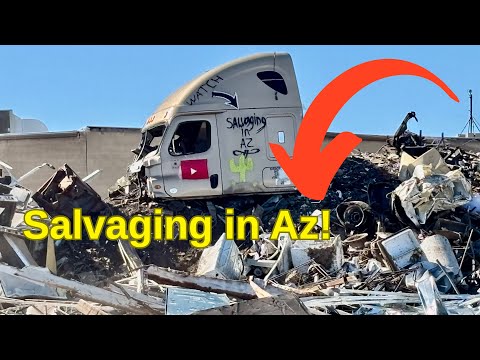 Видео: Моя Империя Мусора!!!