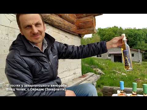 Видео: Влад Чопак - закарпатський винороб, Середнє