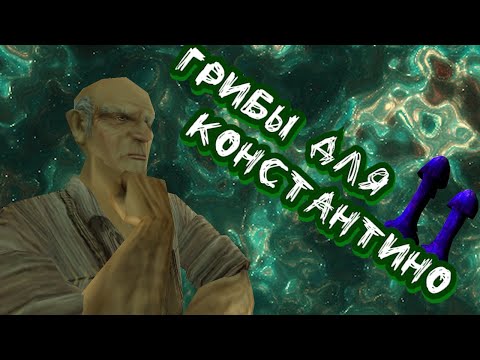 Видео: Грибы для Константино