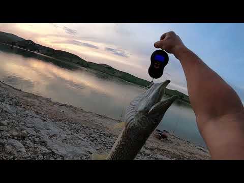 Видео: Апрельская рыбалка на водохранилище в Испании