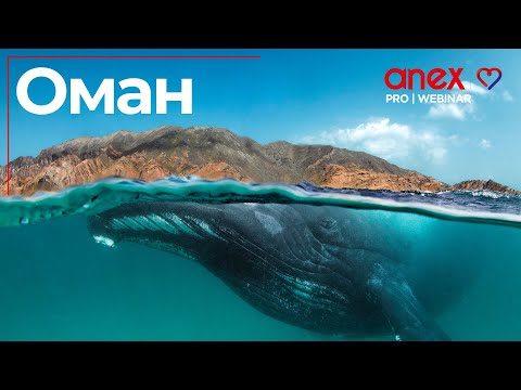Видео: Оман. От подножия гор до лазурных волн!