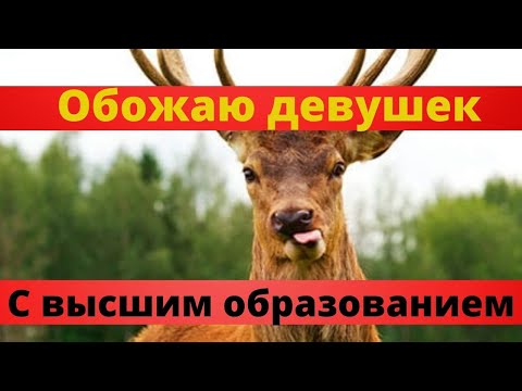 Видео: От каких отношений надо бежать