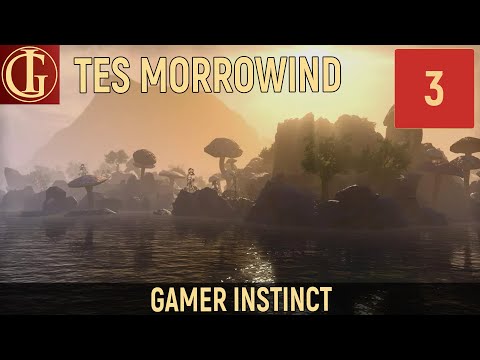 Видео: ПРОХОЖДЕНИЕ MORROWIND | ЧАСТЬ 3 - СТАРЫЙ КОЛОДЕЦ