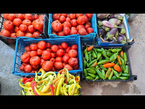 Видео: Време е да направим вкусна зимнина ! 🍅🍆🌶️