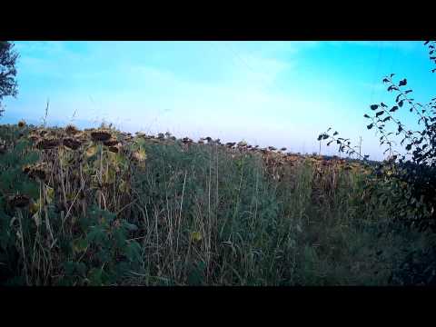 Видео: ЛОВ НА ГРИВЯК 3