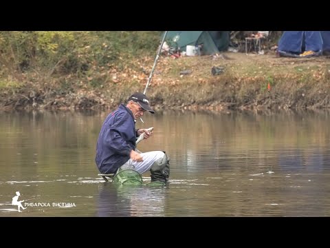 Видео: 🎣Викенд на Вардар 2 #fishing #риболов #fishingmacedonia Can We Catch the Biggest Fish in This River?